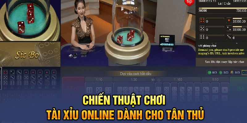 Chiến thuật chơi tài xỉu online dành cho tân thủ