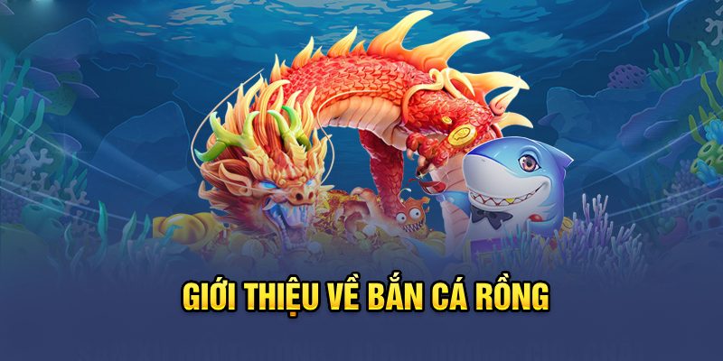 Giới thiệu về Bắn cá rồng