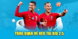 Tổng quan về kèo tài xỉu 2.5